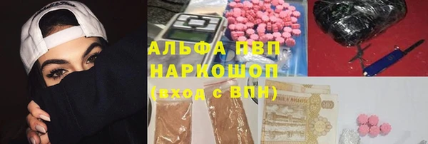 гашик Баксан