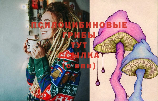 ешки Балахна