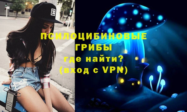 гашик Баксан