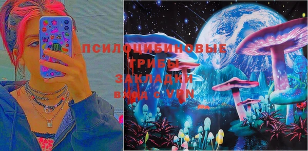 гашик Баксан