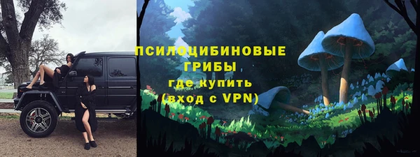 гашик Баксан