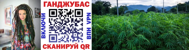 где купить наркотик  Козловка  Марихуана план 